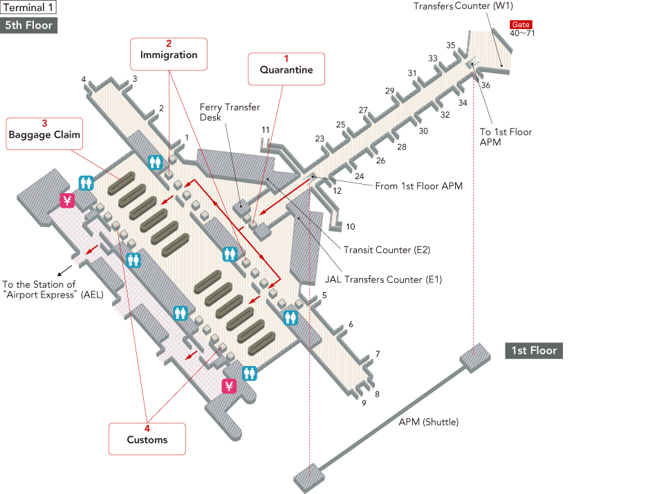 In the immigration control area of Terminal 1, there is immigration control and toilets (wheelchair accessible), at the baggage claim area, there is transit counters, and Once you pass through customs, there are toilets (wheelchair accessible), airport information counters, currency exchange offices, elevators, and exits to outside.