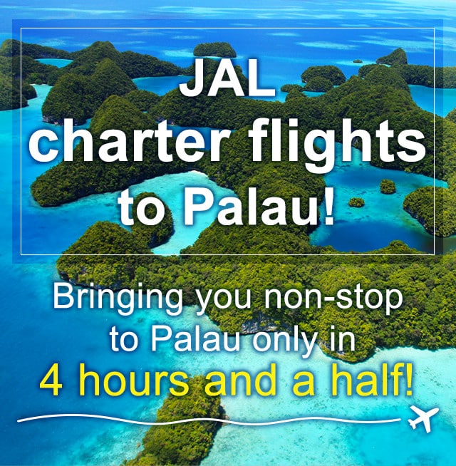 JAL charter flights to Palau! JAL International Flights