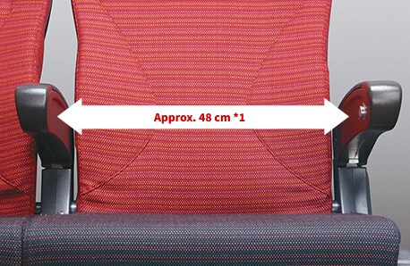 Approx. 48 cm *1
