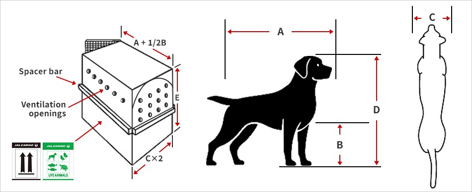 Animal measurements: A = length of animal from tip of nose to base / root of tail. B = height from ground to elbow joint.. C = width across shoulders or widest point (whichever is the greater). D = height of animal in natural standing position from top of the head or the ear tip to the floor (whichever is higher). Container: A + 1/2B (Length), D (Height), C×2 (Width), Spacer bar, Ventilation openings, Live animal Label