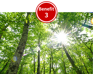 Benefit 3