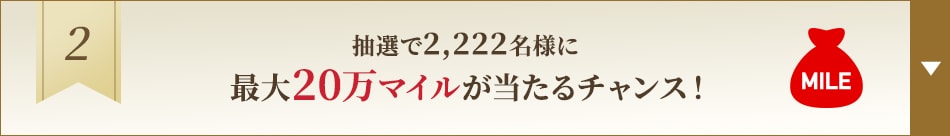 2. 抽選で2,222名様に最大20万マイルが当たるチャンス！