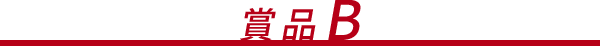賞品B