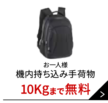 JAL | 機内持ち込みお手荷物（お手荷物）
