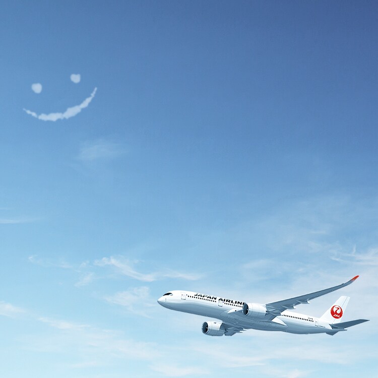 Jal ドラえもん プレゼント JAL ドラえもんJET デカールモデル