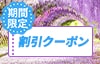 期間限定　割引クーポン
