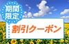 期間限定　割引クーポン