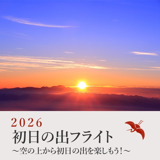 2026 初日の出フライト 空の上から初日の出を楽しもう!