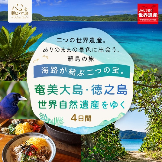 二つの世界遺産。ありのままの景色に出会う、離島の旅