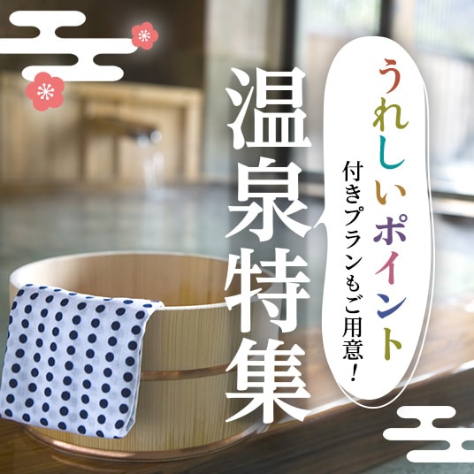 温泉特集 -JALで行く温泉旅行- 北陸・中部 下呂・高山 - ツアー