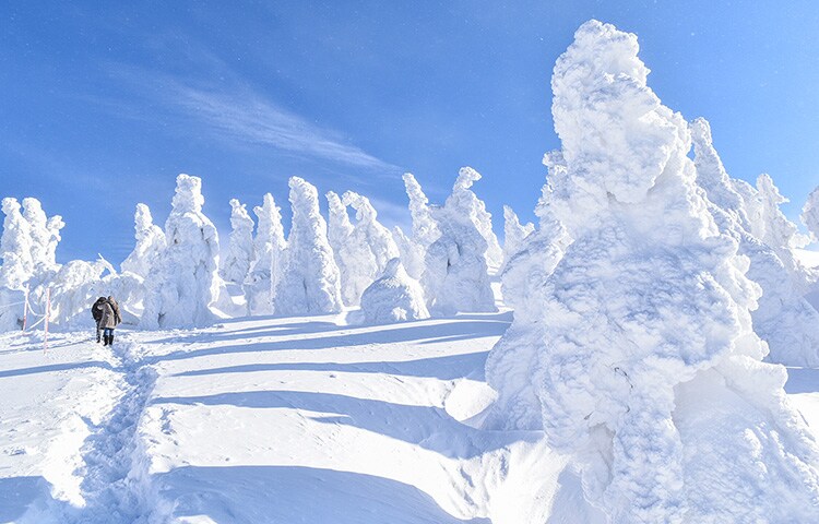 東北(秋田)|森吉山の樹氷