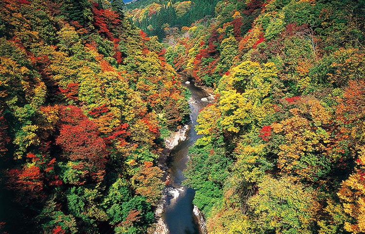 東北（秋田）｜小安峡