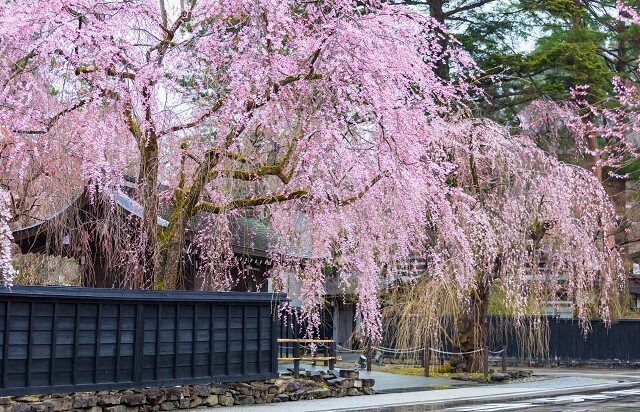 東北(秋田)|角館