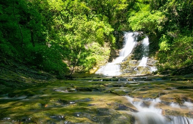 千葉県 | 養老渓谷