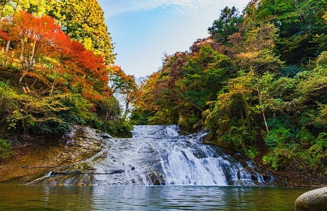千葉県 | 養老渓谷