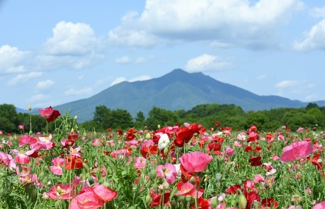 茨城県 | 筑波山