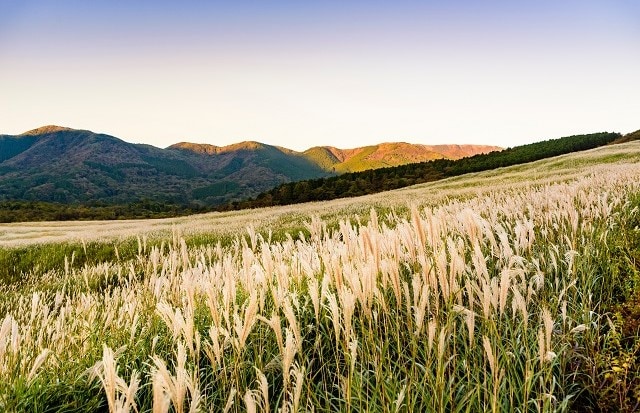 神奈川県 | 箱根