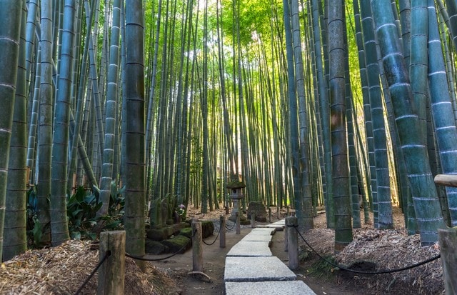 神奈川県 | 鎌倉
