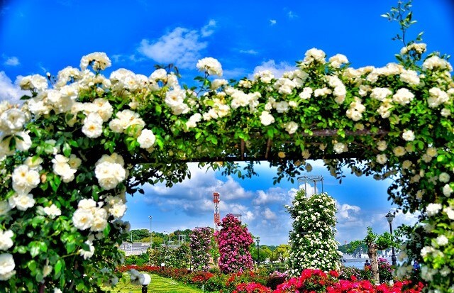 神奈川県 | 横須賀