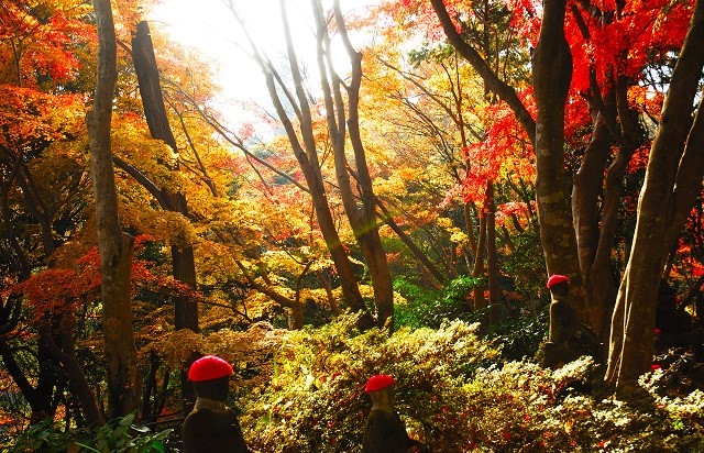東京都 | 高尾山