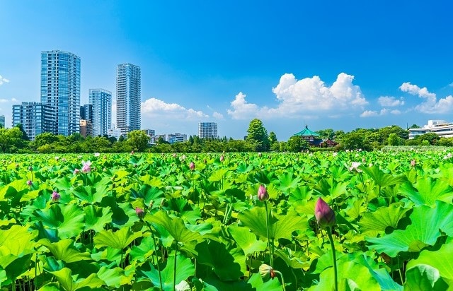 東京都 | 上野恩賜公園
