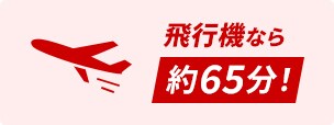 飛行機なら約65分！
