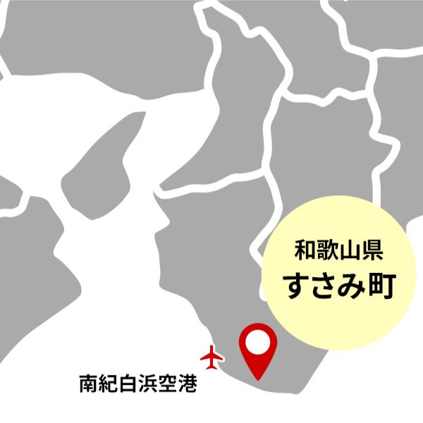 和歌山県 すさみ町　南紀白浜空港