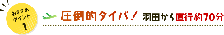 おすすめポイント 1 圧倒的タイパ！ 羽田から直行約70分
