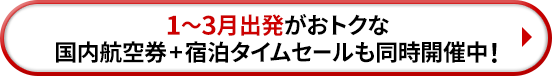 1月から3月出発がおトクな国内航空券＋宿泊タイムセールも同時開催中！