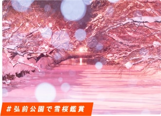 ＃弘前公園で雪桜鑑賞