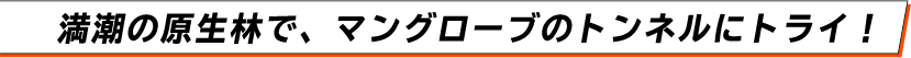 満潮の原生林で、マングローブのトンネルにトライ！