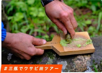 #三瓶でワサビ田ツアー