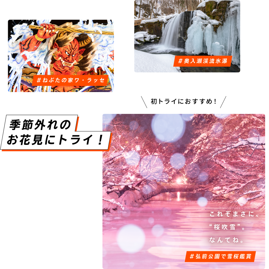 初トライにおすすめ！ #弘前公園で雪桜鑑賞 季節外れのお花見にトライ！ これぞまさに、“桜吹雪”。なんてね。 #ねぶたの家ワ・ラッセ #奥入瀬渓流氷瀑