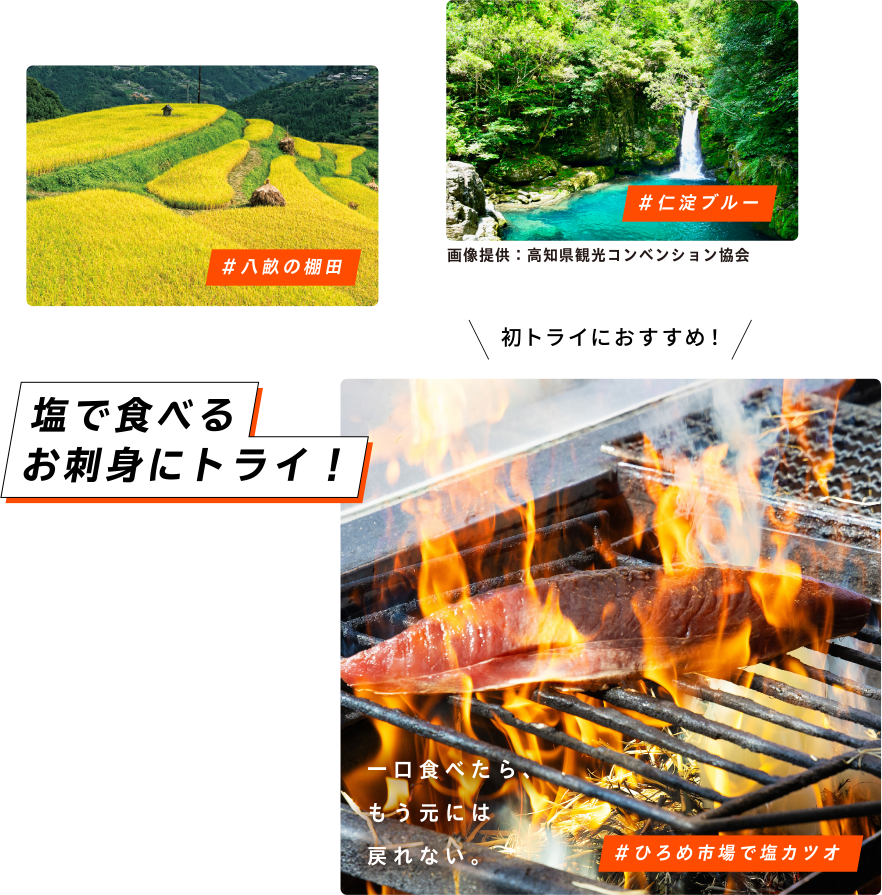 初トライにおすすめ！ #ひろめ市場で塩カツオ 塩で食べるお刺身にトライ！ 一口食べたら、もう元には戻れない。 #八畝の棚田 #仁淀ブルー 画像提供：高知県観光コンベンション協会