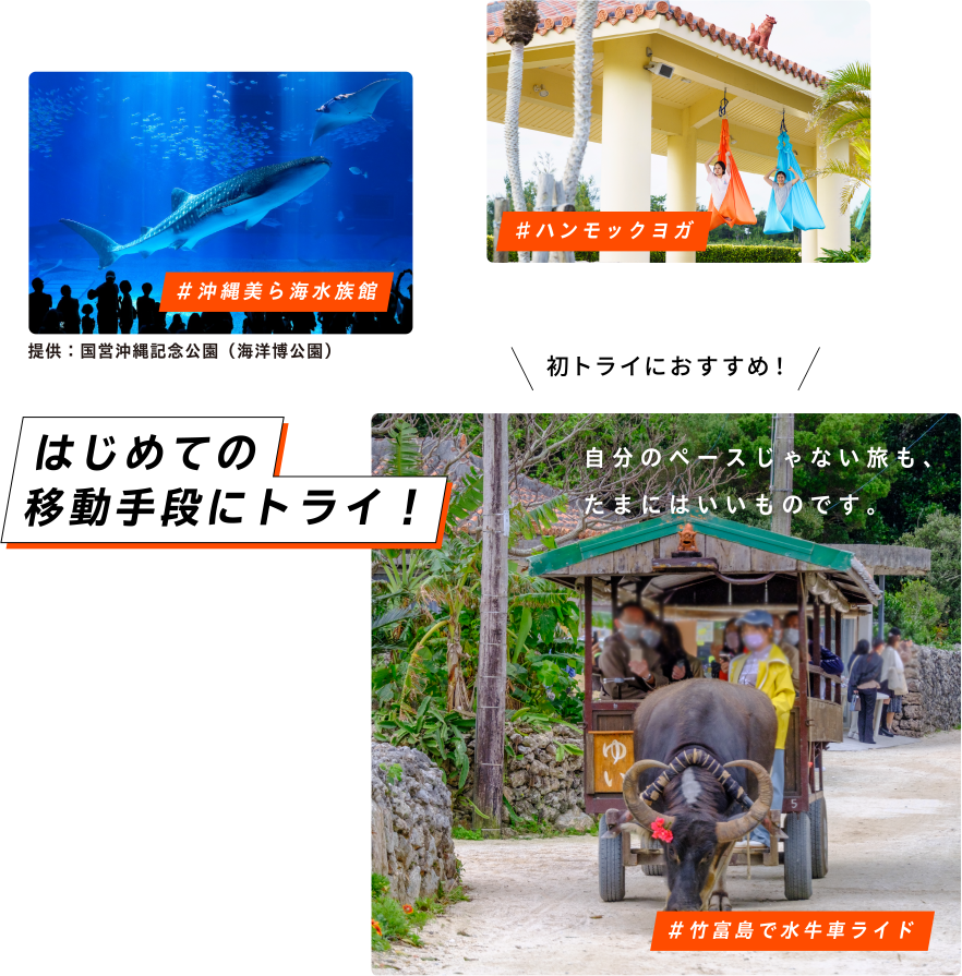 初トライにおすすめ！ #竹富島で水牛車ライド はじめての移動手段にトライ！ 自分のペースじゃない旅も、たまにはいいものです。 #沖縄美ら海水族館 提供：国営沖縄記念公園（海洋博公園） #ハンモックヨガ