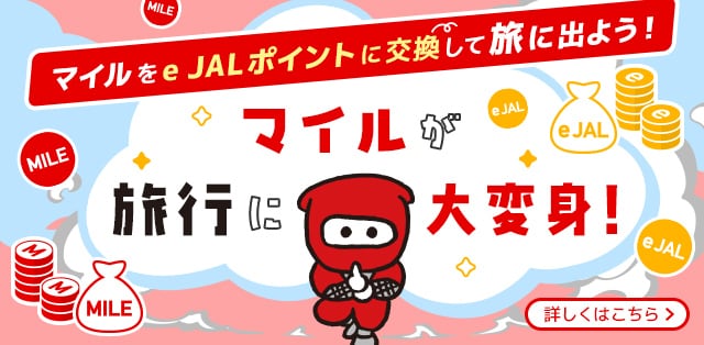 JALダイナミックパッケージ 期間限定タイムセール - JALunLun ブラック
