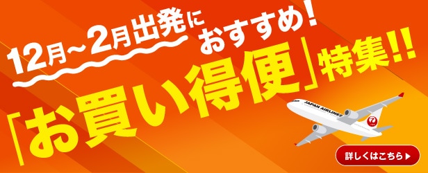 JALダイナミックパッケージ 期間限定タイムセール - JALunLun ブラック
