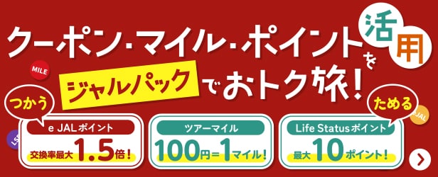 JALダイナミックパッケージ 期間限定タイムセール - JALunLun ブラック