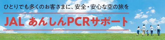 Jalパック Jalダイナミックパッケージ Jalで行く東京ディズニーリゾート R の旅