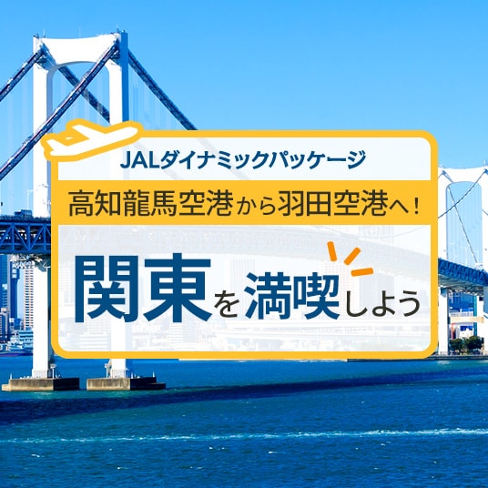 JALダイナミックパッケージ　高知龍馬空港から羽田空港へ！　関東を満喫しよう