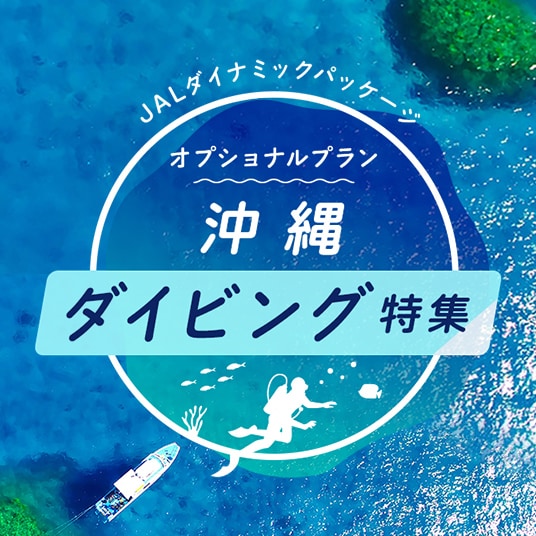 JALダイナミックパッケージ　オプションプラン 沖縄 ダイビング特集