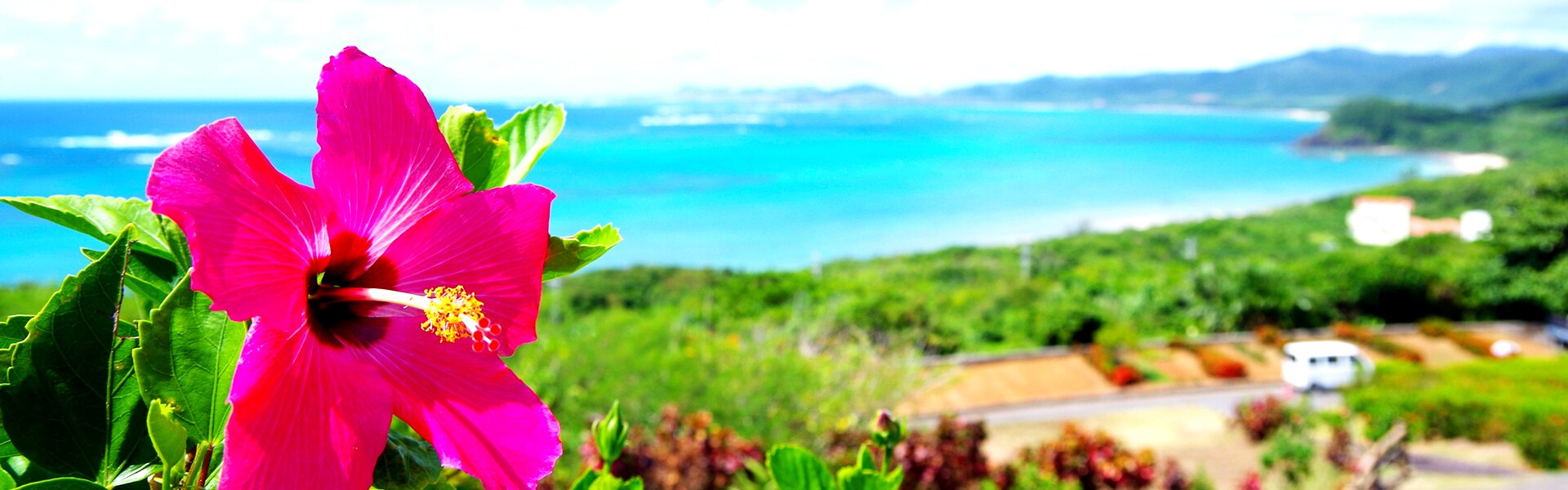 Jalパック 沖縄 離島旅行 ツアー