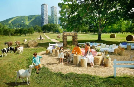 グリーンシーズン