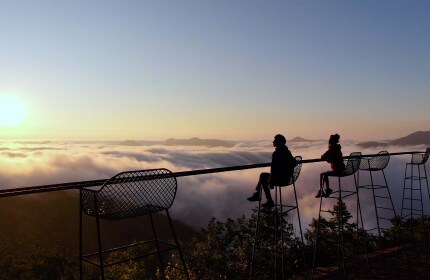 グリーンシーズン