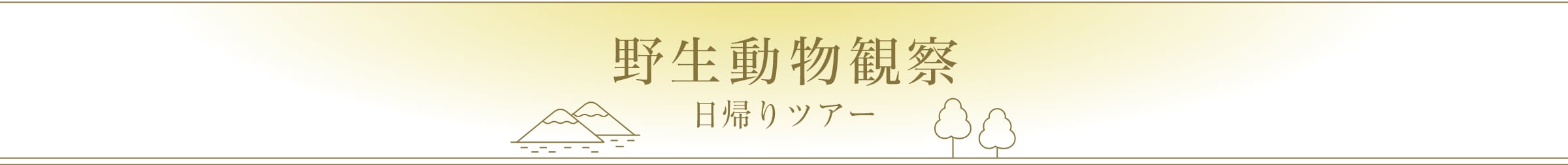 野生動物観察