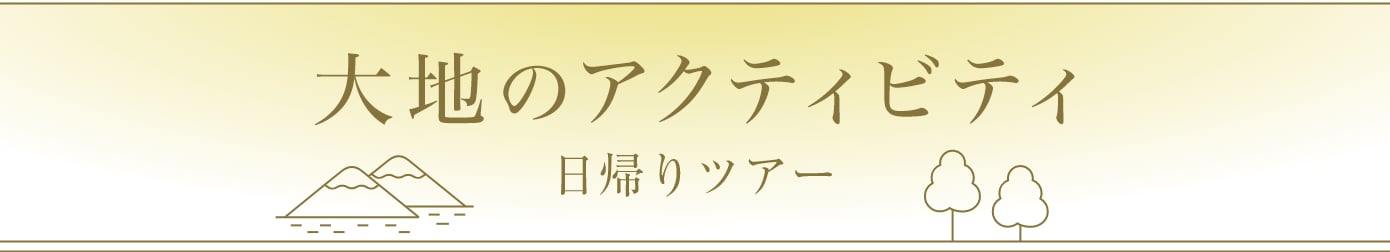 大地のアクティビティ