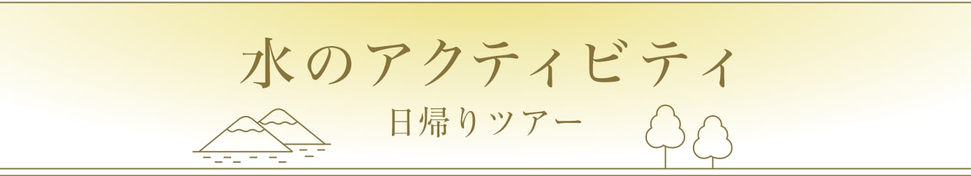水のアクティビティ