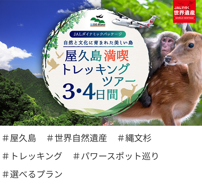 屋久島満喫トレッキングツアー