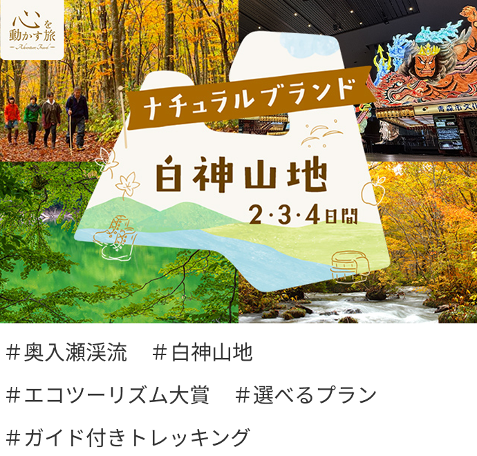 ナチュラルブランド　白神山地