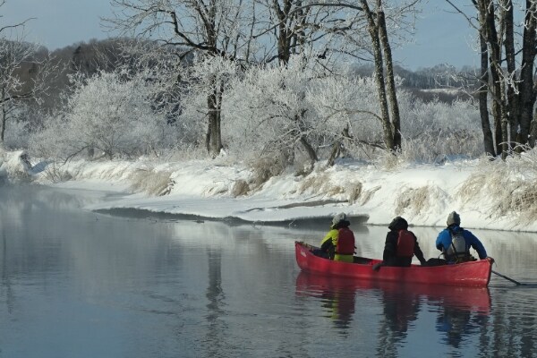 〔2名以上限定〕〔釧路〕冬の釧路湿原ネイチャーカヌー